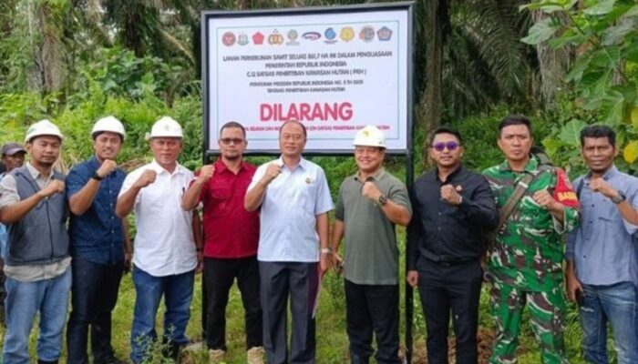 Diduga Ada Mafia Lahan, Aktivis Tantang Kejaksaan Pasangkayu Tindak Penggarap Ilegal