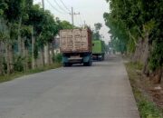 Warga Geram, Truk Pasir Setor ke Rumah Kades Suwaloh Bikin Jalan dan Jembatan Rusak