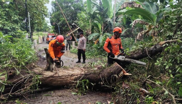 Oktober Penuh Bencana, BPBD Catat Bojonegoro Diterjang Angin, Longsor, dan Banjir