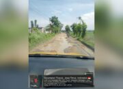 Jauh dari Kota Jauh dari Perhatian: Jalan Mori–Guyangan Bojonegoro Terabaikan
