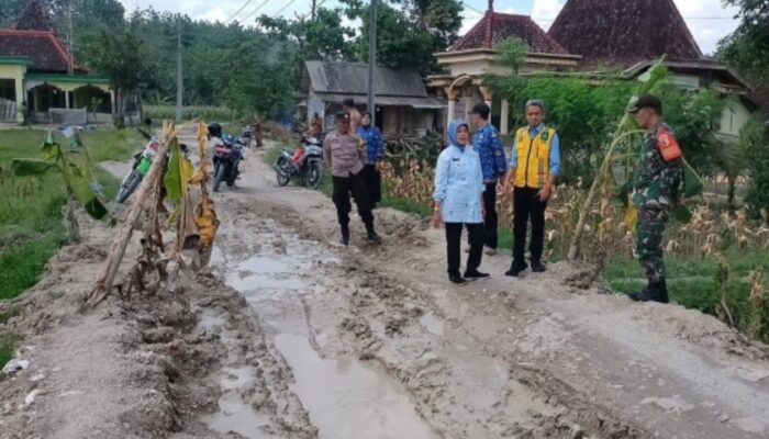 Percepatan Infrastruktur, Bojonegoro Bangun Jalan dan Jembatan di Wilayah Ekstrem