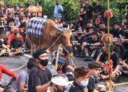 Kenapa Warga Klungkung Bali Harus Mengarak Sapi, Ini Alasannya