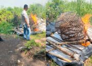 Markas Sabung Ayam di Prambon Sidoarjo Dibumihanguskan Polisi