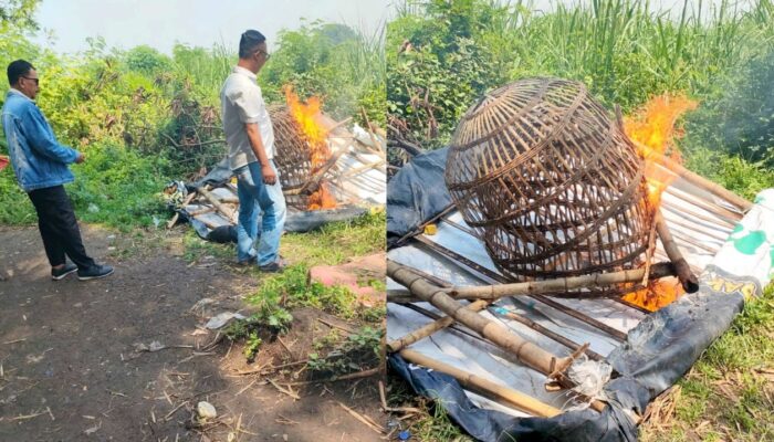 Markas Sabung Ayam di Prambon Sidoarjo Dibumihanguskan Polisi