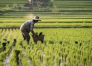 Program AUTP Bojonegoro, Ribuan Petani Berebut Daftar