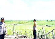 Isu Tambang Pasir Liar di Kunjang Kediri Dijawab Polisi, Kapolsek Cek Lokasi