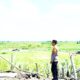 IMG 20251217 WA0006