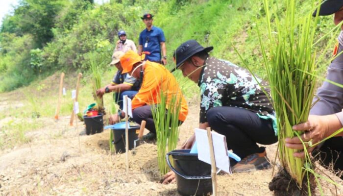 Mitigasi Bencana Berbasis Alam, Bupati Bojonegoro Dorong Tanam Vetiver