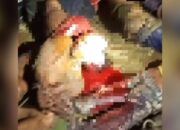 Nekat Nyolong di Tambak Sidoarjo, 6 Pencuri Laban Nyaris Tewas Dihajar Warga