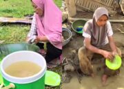 Pascabanjir di Aceh Tamiang, Warga Hadapi Krisis Air Bersih dan Masalah Kesehatan