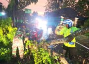 Pohon Tumbang Lumpuhkan Jalan Puter–Pelang, TNI–Polri Lamongan Bergerak Cepat