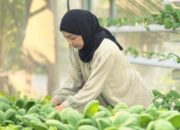 Hidroponik Jadi Solusi, Petani Muda Bojonegoro Raih Penghargaan