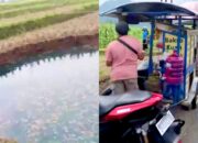 Fenomena Sinkhole Sumatera Barat, Air Naik dan Genangi Sawah
