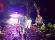 Cuaca Buruk Picu Gangguan, Polisi Karanggeneng Lamongan dan Warga Kompak Atasi Pohon Tumbang