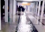 Jalan Suwoko Lamongan Terendam Banjir, Pengendara Terpaksa Putar Balik