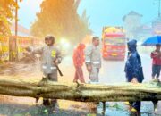 Polisi Sigap Evakuasi Pohon Tumbang di Jalur Utama Babat Lamongan