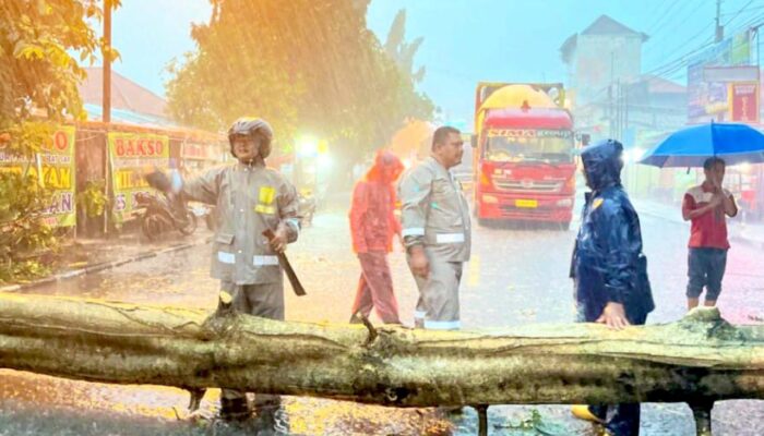 Polisi Sigap Evakuasi Pohon Tumbang di Jalur Utama Babat Lamongan