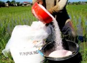Kuota NPK Phonska Bertambah, Pupuk Subsidi Bojonegoro Melimpah