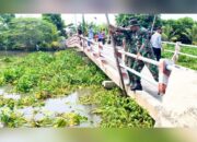 Aksi Nyata Cegah Banjir di Lamongan, Enceng Gondok Bengawan Jeru Diangkut