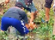 Bocah Meninggal Tersengat Listrik di Kalitidu Bojonegoro Saat Memancing