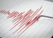BMKG Laporkan Aktivitas Gempa di 5 Wilayah Indonesia