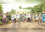 Dari Sawah untuk Negeri, TNI Dorong Ketahanan Pangan di Sugio Lamongan