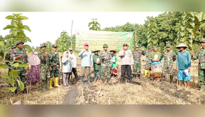 Dari Sawah untuk Negeri, TNI Dorong Ketahanan Pangan di Sugio Lamongan