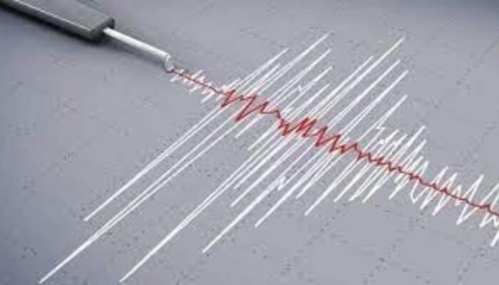 BMKG Catat Rentetan Gempa, Sulawesi Tengah Terkuat