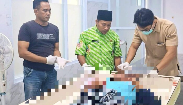 Kasus Tragis di Lamongan: Anak Kandung Meninggal, Ayah Jadi Terduga Pelaku