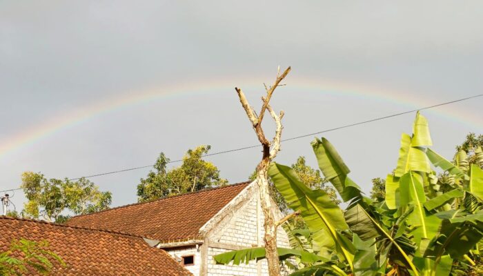 Pelangi Muncul Usai Hujan, Warga Bojonegoro Timur Takjub