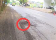 Viral Protes Jalan Rusak Baureno Bojonegoro, Warga Desak Pemerintah Bertindak