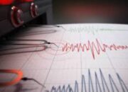 BMKG Rilis Gempa di Indonesia Hari Ini: NTT, Sulawesi, hingga Jawa Timur