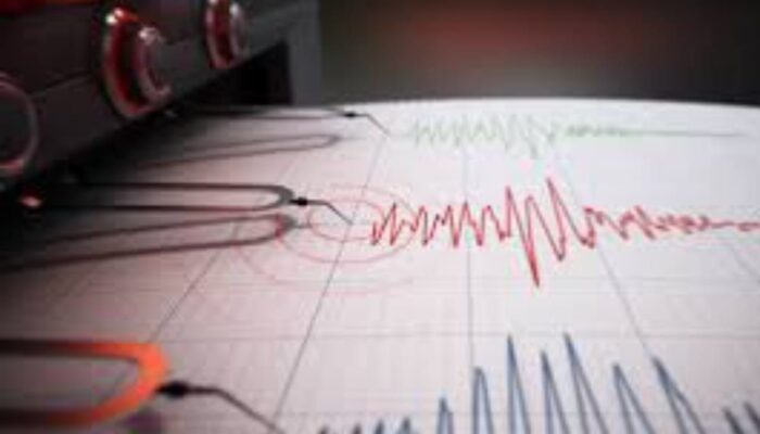 BMKG Rilis Gempa di Indonesia Hari Ini: NTT, Sulawesi, hingga Jawa Timur