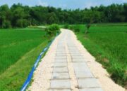 Petani Wajib Tau, Ratusan JUT Siap Dibangun di Bojonegoro