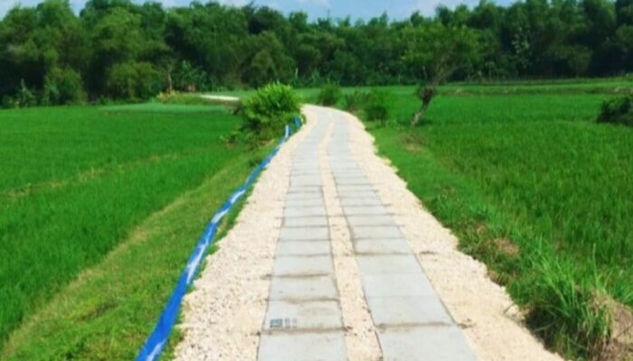 Petani Wajib Tau, Ratusan JUT Siap Dibangun di Bojonegoro