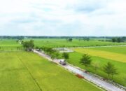 Cantik dan Fungsional, Jalan Beton Mulyoagung Bojonegoro Jadi Alternatif ke Kota