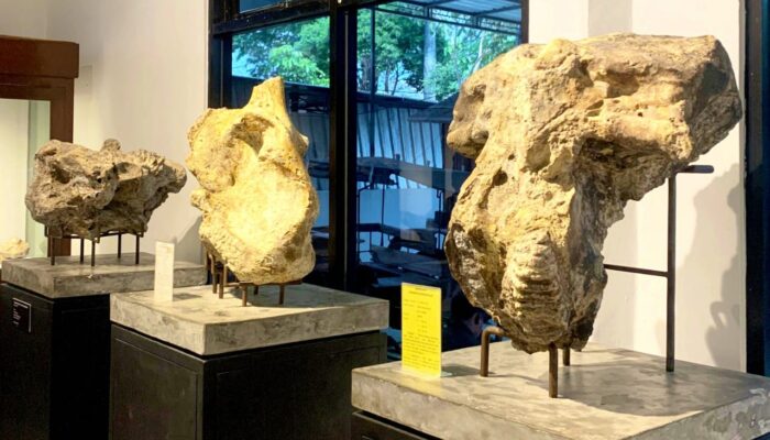 Belajar Sejarah Sambil Wisata, Museum Rajekwesi Jawabannya