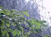 Update Cuaca Bojonegoro 2 Februari 2026, Waspada Hujan Ringan