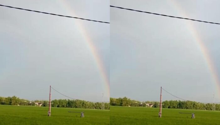 Pelangi Pagi di Ngemplak Baureno Bojonegoro, Pertanda Baik Jelang Nisfu Syakban
