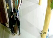 Aksi Pencurian Kotak Amal Masjid Terekam CCTV, Warga Bojonegoro Geram