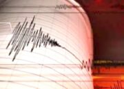 BMKG Rilis Data Gempa Terbaru, Jawa Timur hingga Maluku Utara