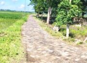 Jalan ke Makam Jadi Polemik, Dana Desa Mori Bojonegoro Diminta Diaudit