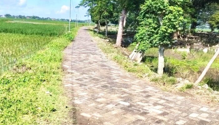 Jalan ke Makam Jadi Polemik, Dana Desa Mori Bojonegoro Diminta Diaudit