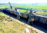 Bersih-bersih Gorong-gorong, Upaya Tiga Pilar Kalitidu Bojonegoro Cegah Banjir dan Penyakit