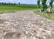 Klarifikasi Kades Mori Bojonegoro Dinilai Tak Menjawab, Publik Masih Bertanya