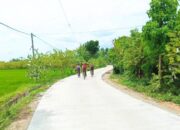 Akses Lancar, Harga Panen Lebih Layak: Jalan Baru Desa Mojo Kalitidu Bojonegoro Jadi Harapan