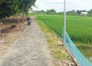 Anggaran Jalan Makam Desa Mori Bojonegoro Rp33 Juta atau Rp250 Juta, Ini Fakta Terbarunya