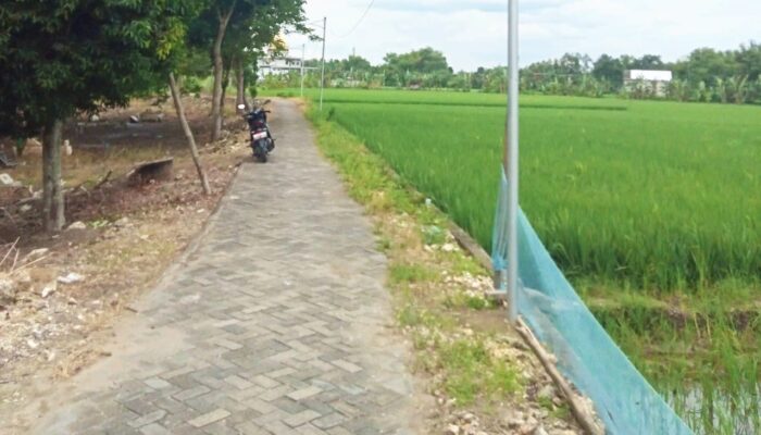 Anggaran Jalan Makam Desa Mori Bojonegoro Rp33 Juta atau Rp250 Juta, Ini Fakta Terbarunya