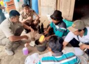 Petani Ngraho Bojonegoro Berinovasi, Bikin Dekomposer Sendiri