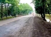 Jelang Ramadhan dan Mudik, Jalan Nasional di Bojonegoro Dikeluhkan Pengendara